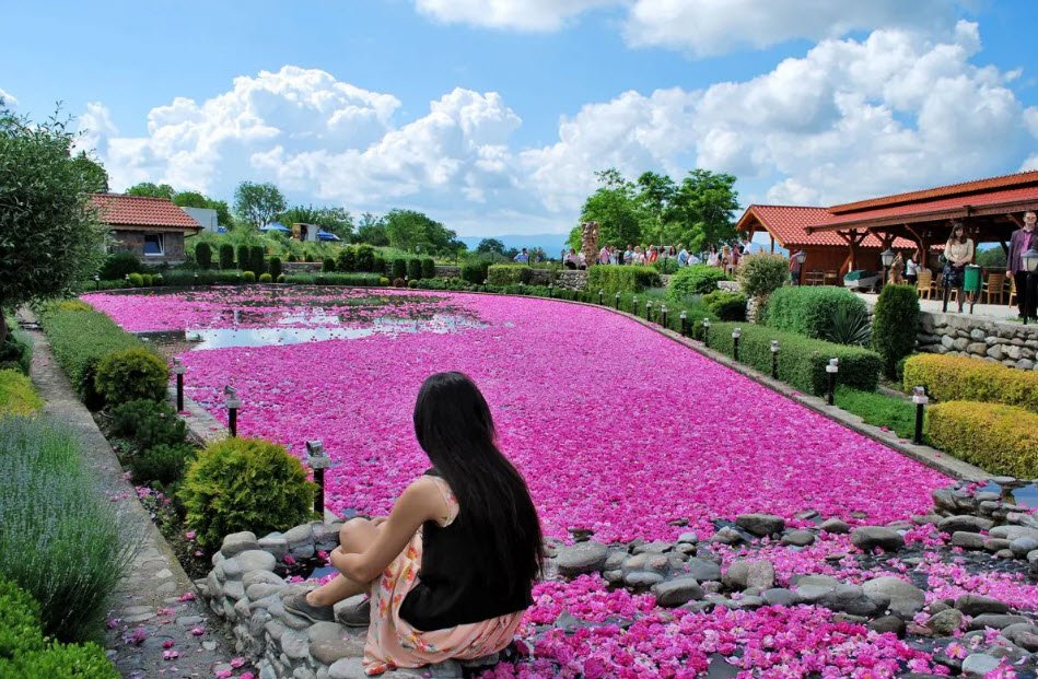 Rose Valley &amp; Rose Festival, Kazanlak, Stara Zagora, Bulgaria